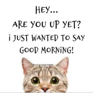 Meet your Posher, Cherilyn